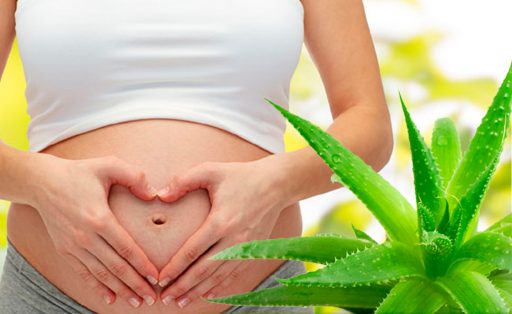 tomar pastillas de aloe vera en el embarazo